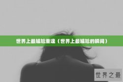 世界上最尴尬重逢（世界上最尴尬的瞬间）