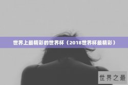 世界上最精彩的世界杯（2018世界杯最精彩）