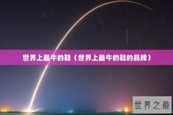 世界上最牛的鞋（世界上最牛的鞋的品牌）