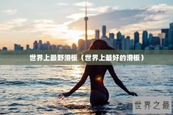 世界上最野滑板（世界上最好的滑板）