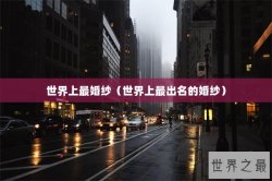 世界上最婚纱（世界上最出名的婚纱）