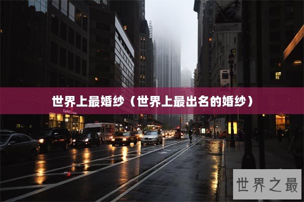 世界上最婚纱（世界上最出名的婚纱）