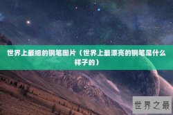 世界上最细的钢笔图片（世界上最漂亮的钢笔是什么样子的）