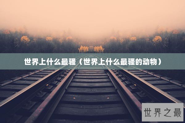 世界上什么最骚（世界上什么最骚的动物）