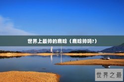 世界上最帅的鹿晗（鹿晗帅吗?）