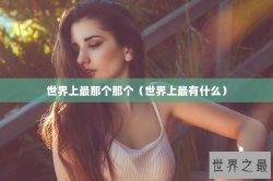 世界上最那个那个（世界上最有什么）