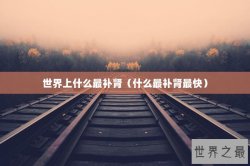 世界上什么最补肾（什么最补肾最快）
