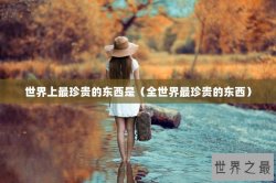 世界上最珍贵的东西是（全世界最珍贵的东西）