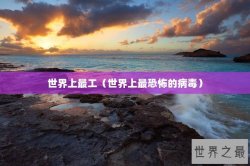 世界上最工（世界上最恐怖的病毒）
