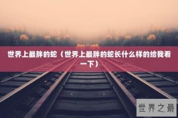 世界上最胖的蛇（世界上最胖的蛇长什么样的给我看一下）