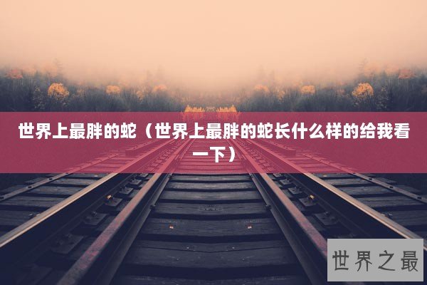 世界上最胖的蛇（世界上最胖的蛇长什么样的给我看一下）