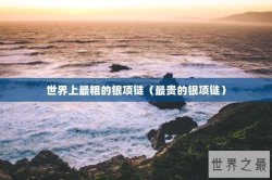 世界上最粗的银项链（最贵的银项链）