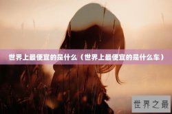 世界上最便宜的是什么（世界上最便宜的是什么车）