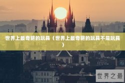 世界上最奇葩的玩具（世界上最奇葩的玩具不是玩具）