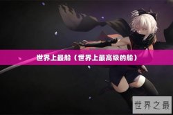 世界上最船（世界上最高级的船）