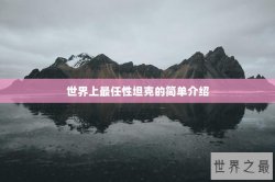 世界上最任性坦克的简单介绍