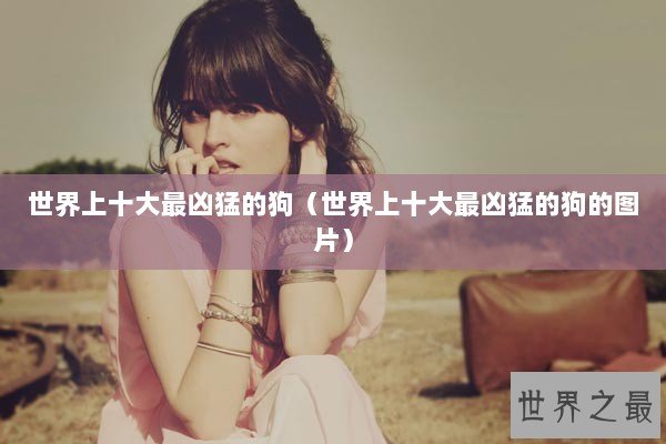 世界上十大最凶猛的狗（世界上十大最凶猛的狗的图片）