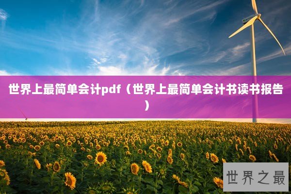 世界上最简单会计pdf（世界上最简单会计书读书报告）