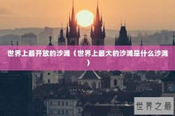 世界上最开放的沙滩（世界上最大的沙滩是什么沙滩）