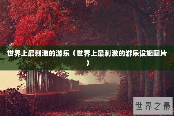 世界上最刺激的游乐（世界上最刺激的游乐设施图片）