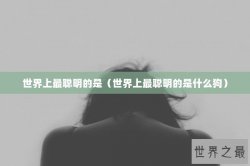 世界上最聪明的是（世界上最聪明的是什么狗）