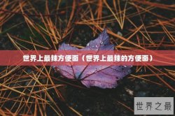 世界上最辣方便面（世界上最辣的方便面）