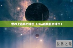 世界上最暴力球员（nba最疯狂的球员）