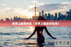 世界上最豪的车（世界上最豪的车库）