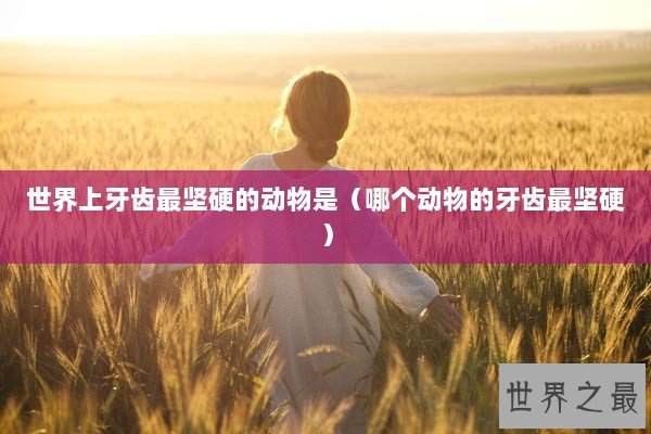 世界上牙齿最坚硬的动物是（哪个动物的牙齿最坚硬）