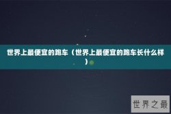 世界上最便宜的跑车（世界上最便宜的跑车长什么样）