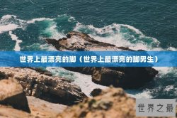 世界上最漂亮的脚（世界上最漂亮的脚男生）