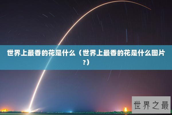 世界上最香的花是什么（世界上最香的花是什么图片?）
