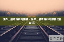 世界上最奇葩的高跟鞋（世界上最奇葩的高跟鞋长什么样）