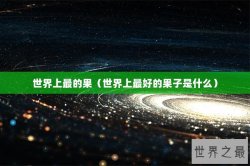 世界上最的果（世界上最好的果子是什么）