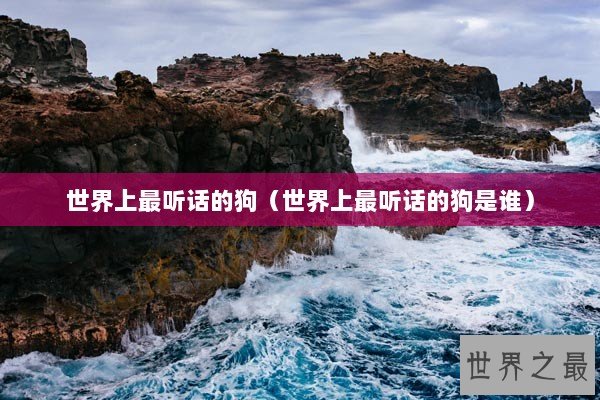 世界上最听话的狗(世界上最听话的狗是谁) 世界上最听话的狗(世界上最听话的狗是谁)