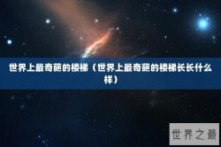 世界上最奇葩的楼梯（世界上最奇葩的楼梯长长什么样）