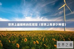 世界上最稀有的花鹭草（世界上有多少种鹭）