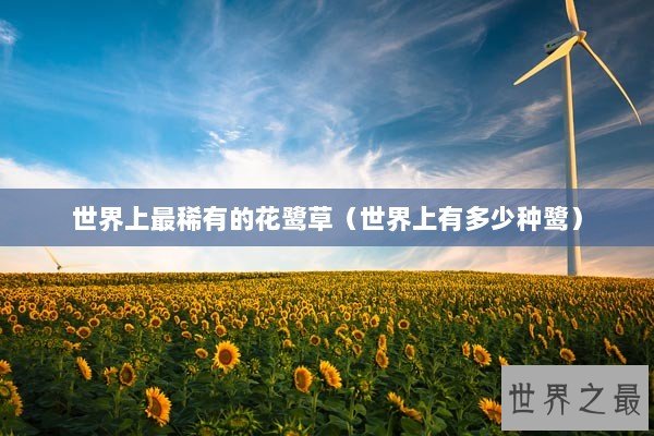 世界上最稀有的花鹭草（世界上有多少种鹭）