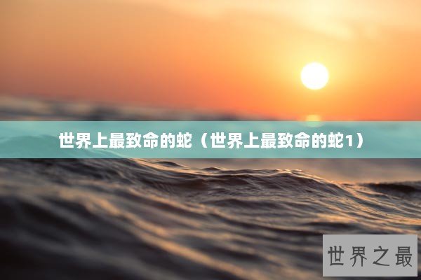 世界上最致命的蛇(世界上最致命的蛇1) 世界上最致命的蛇(世界上最致命的蛇1)