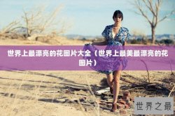 世界上最漂亮的花图片大全（世界上最美最漂亮的花图片）