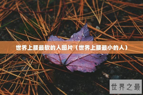 世界上腰最软的人图片（世界上腰最小的人）