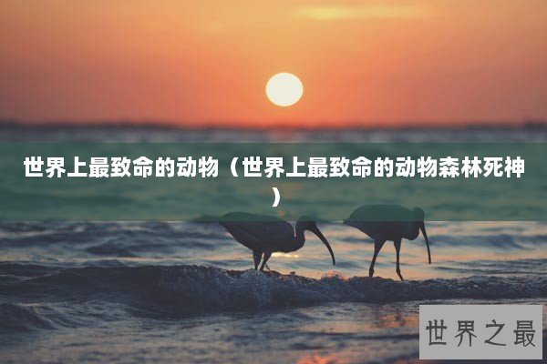 世界上最致命的动物（世界上最致命的动物森林死神）