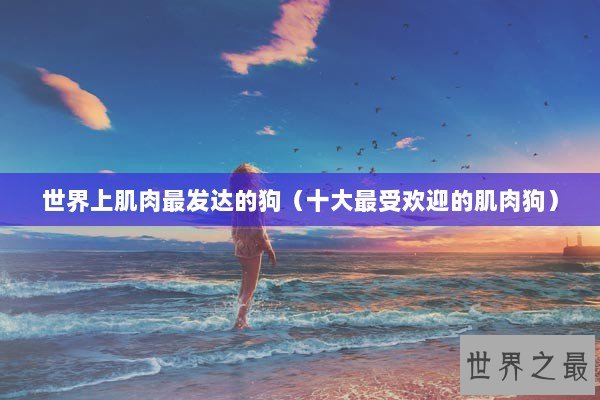 世界上肌肉最发达的狗（十大最受欢迎的肌肉狗）