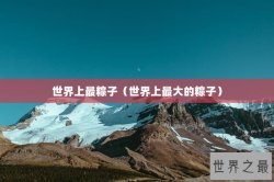 世界上最粽子（世界上最大的粽子）