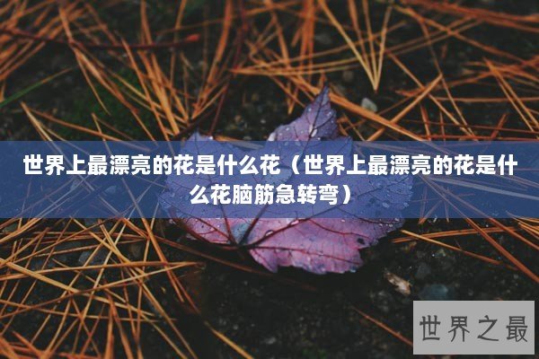 世界上最漂亮的花是什么花（世界上最漂亮的花是什么花脑筋急转弯）