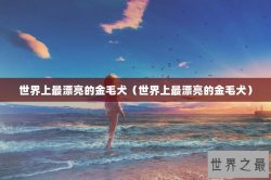世界上最漂亮的金毛犬（世界上最漂亮的金毛犬）