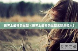 世界上最帅的发型（世界上最帅的发型名称年轻人）