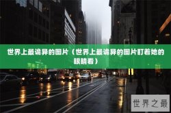 世界上最诡异的图片（世界上最诡异的图片盯着她的眼睛看）