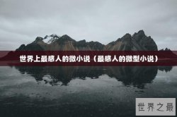 世界上最感人的微小说（最感人的微型小说）