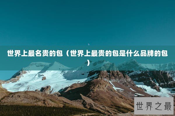 世界上最名贵的包（世界上最贵的包是什么品牌的包）